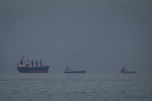 South Korea's Energy Transition as a Shield Against Geopolitical Economic Shocks: Iran Crisis, Oil Prices, and Korean Won Volatility