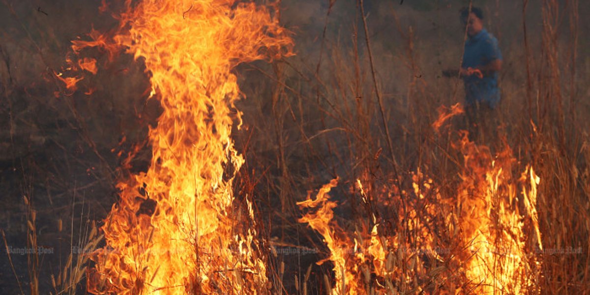 Arkansas Wildfires 2026: The Overlooked Health Hazards of Smoke ...